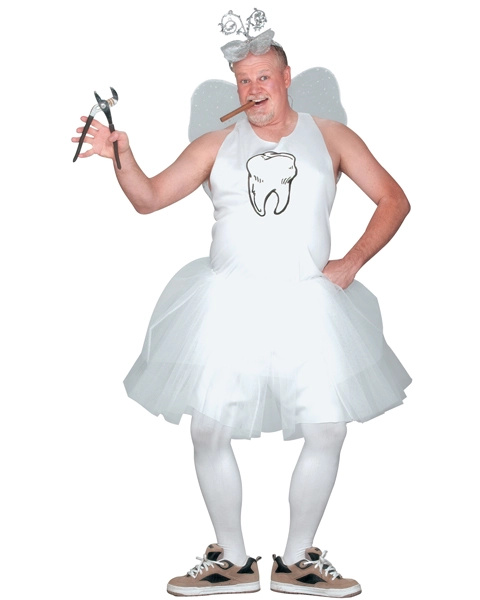 Plus Size Tooth Fairy Costume For Adult