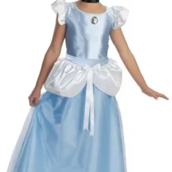 Cinderella Costume