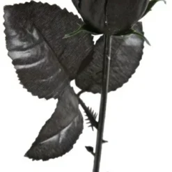 Gothic Skull Black Rose