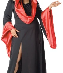 Sexy Robe Plus Size Adult Costume