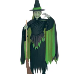 Kids Wicked Witch Costume